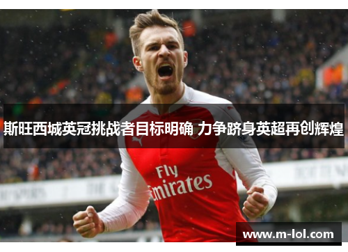 斯旺西城英冠挑战者目标明确 力争跻身英超再创辉煌