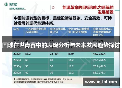 国球在世青赛中的表现分析与未来发展趋势探讨