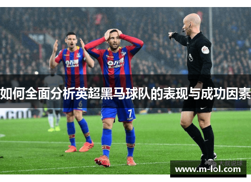 如何全面分析英超黑马球队的表现与成功因素