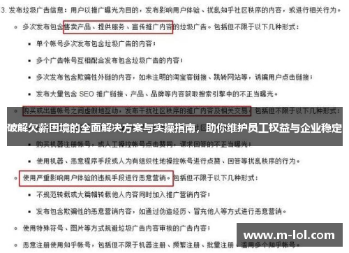破解欠薪困境的全面解决方案与实操指南，助你维护员工权益与企业稳定