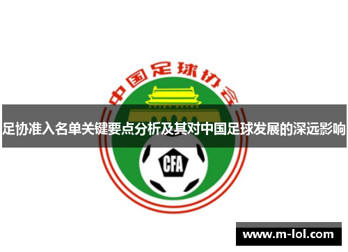 足协准入名单关键要点分析及其对中国足球发展的深远影响